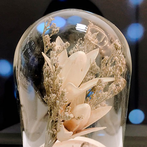 Bình hoa khô thủy tinh - Hoa ly