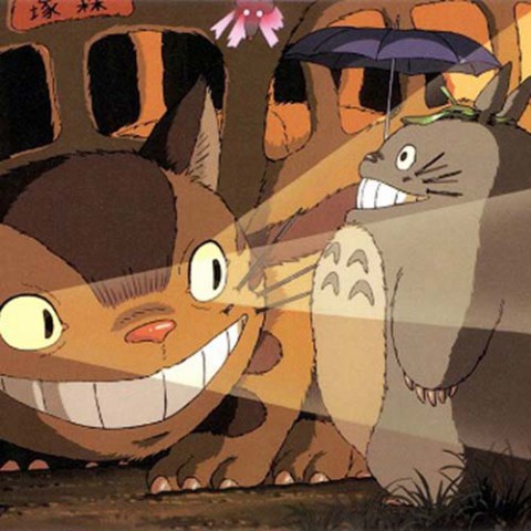 Bộ chăn gối Totoro