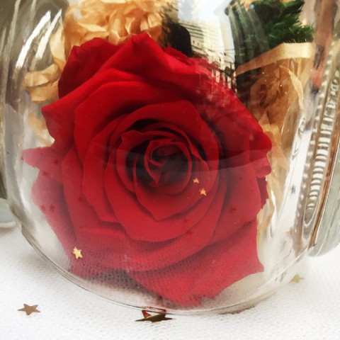 Hoa hồng bất tử lọ 1 bông (Màu hoa ngẫu nhiên)