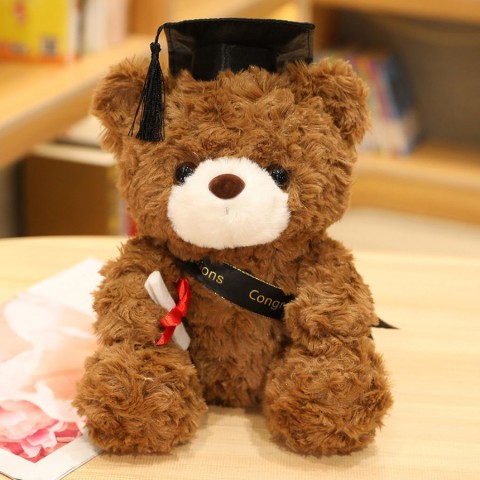 Gấu bông tốt nghiệp cử nhân