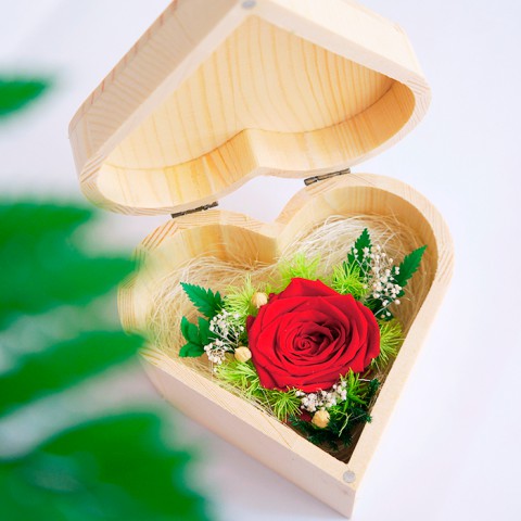 Hoa hồng bất tử hộp gỗ trái tim - Hồng đỏ