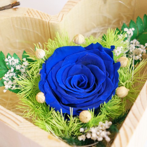 Hoa hồng bất tử hộp gỗ trái tim - Hồng xanh
