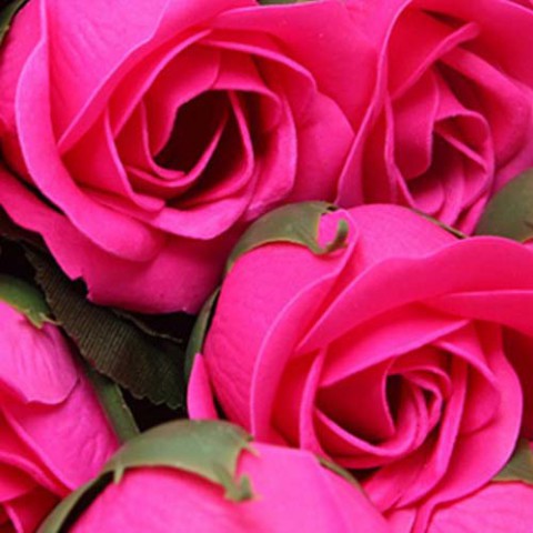 Hoa hồng phấn 51 bông Gift Set