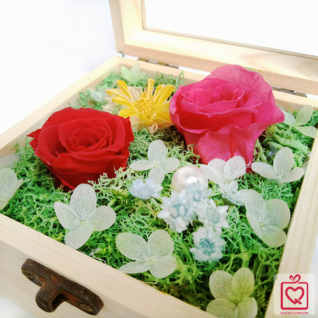 hoa hồng bất tử hộp gỗ vuông hồng phấn