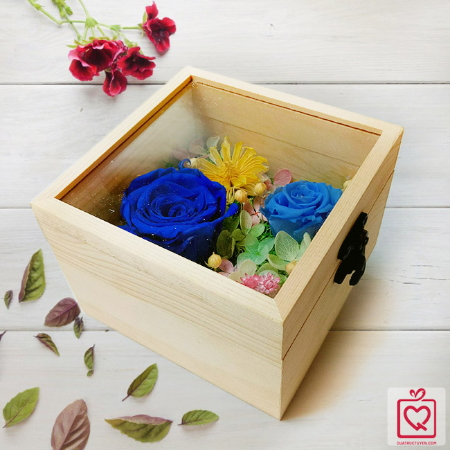 hoa hồng bất tử hộp gỗ vuông hồng xanh